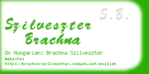 szilveszter brachna business card